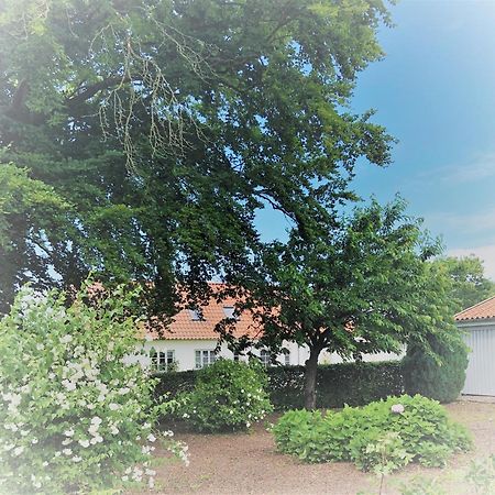 Pensionatet Ro Stenstrup エクステリア 写真